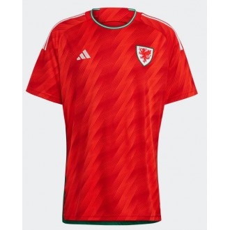 Wales Hemmakläder VM 2022 Kortärmad